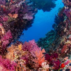 god, romantic background music 🏆🏆🏆FREE DOWNLOAD🏆🏆🏆