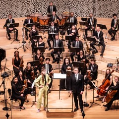 A Mass of Stars Block the View - by Josefine Opsahl - Live @Elbphil.040625