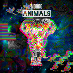 Morag - Animals
