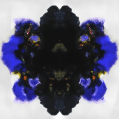 Collective Unknown - Duality