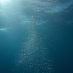 Pure Shores (Extended)
