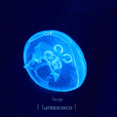 Luminescence