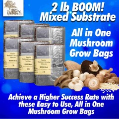 Boom_ boomr_ boom bag mushroom all in one or bulk mushroom substrate