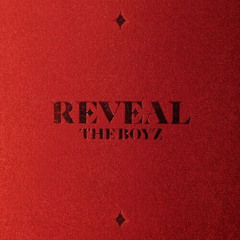 the boyz - reveal [catching fire]