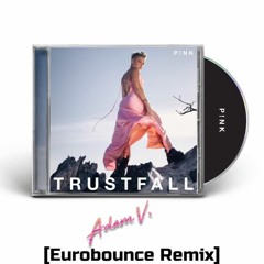 Pink - TRUSTFALL (Adam V. Eurobounce Remix)