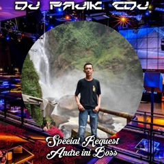 DJ PAJIK CDJ ~ DJ BILA NANTI (New) Vs DJ PEMBATAS CINTA SPECIAL REQUEST ANDRE INI BOS 2022