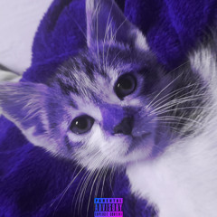 My Cat Made a Phonk