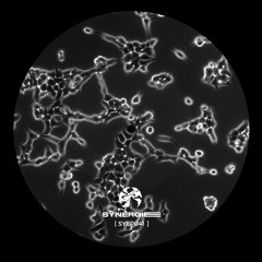 Night Laboratory EP - SYEP041