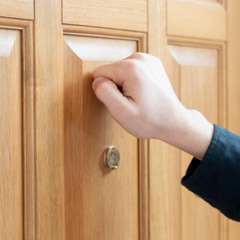 Bienderen (KICKFLIPPED)