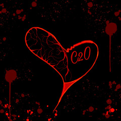 HEART BREAK LOVE SONG (Prod. Brxydnn)