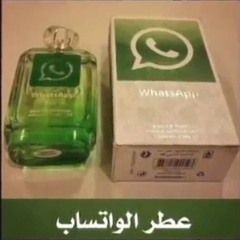 whatsapp perfume freestyle