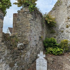 Dublin Riots: the Social Engineering of Xenophobia in Ireland