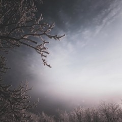 You Were In My Dream Last Night