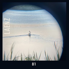 81 - Laenz @ Ambient 4 Babies