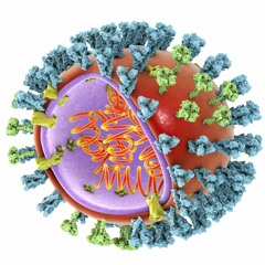 Seb-I & Tom Wu feat. Paul Milne - Die Meistergrippe