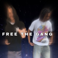 Free the gang (Feat.BabyBoyVdk)