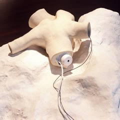 the melter of limbs (now again) stirs me [installation]