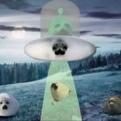 COM381Soup Assignment 8 - Echo (ft. Vlariel and Devin)