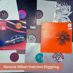 House Hibernation Digging