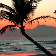 Tropical