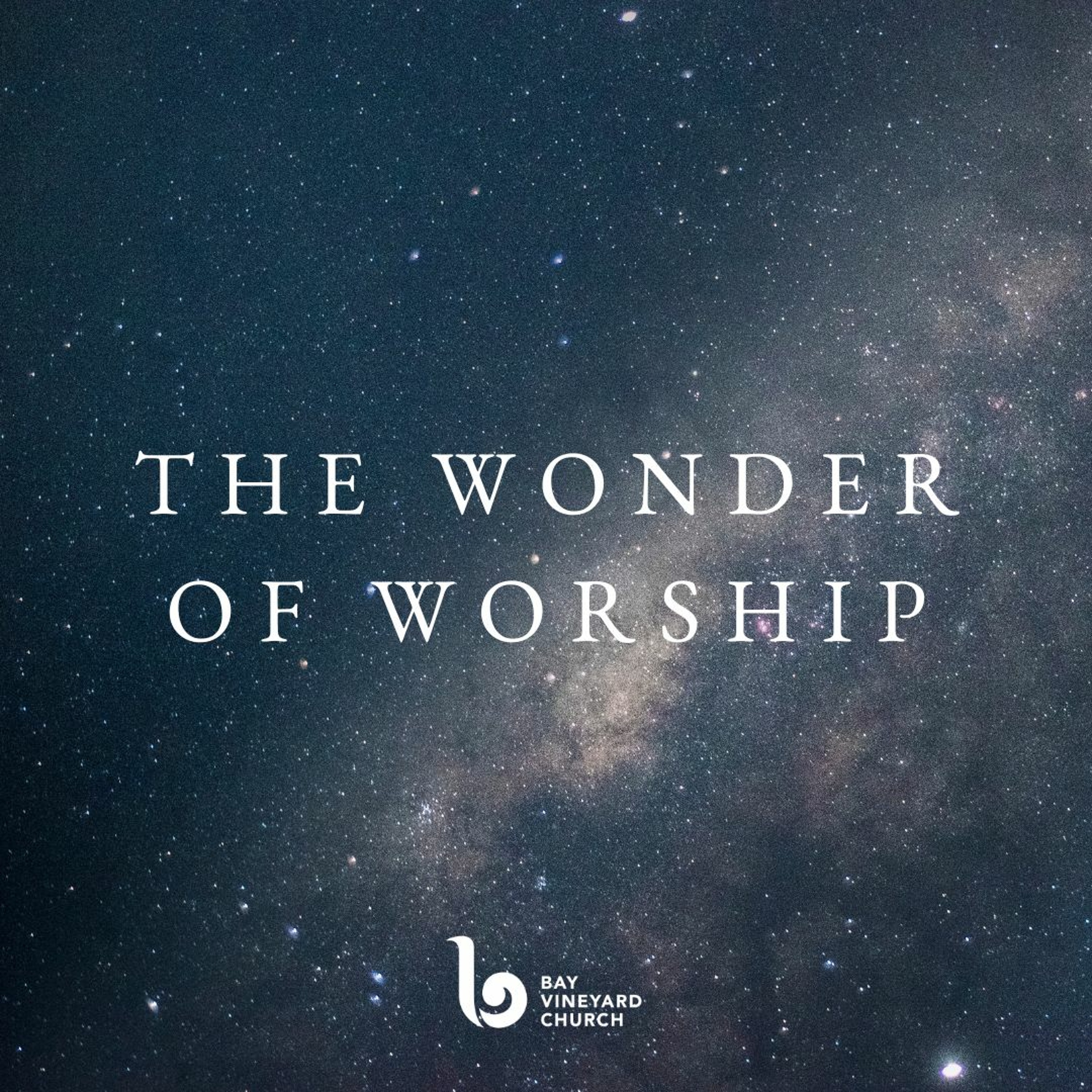 Sunday November 26th // The Wonder of Worship