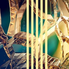 Your faithful monkey on the brain