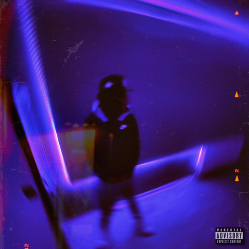 Marlz - No Guidance