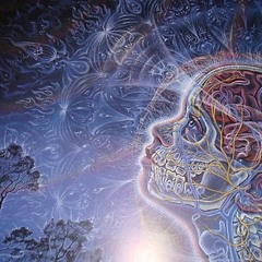 Digital Pneuma