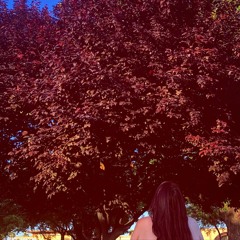 If That's What You Want Me To (Pjms.)