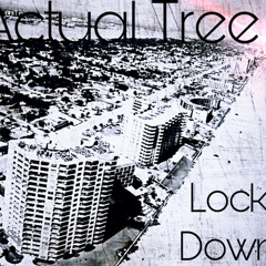 Lock Down Original version