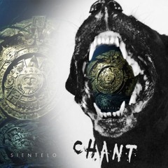 1991 x Mefjus & Camo & Krooked - Chant x Sientelo (Tomas Drewin Mashup)