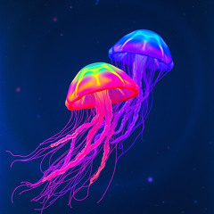 The Jellyfish