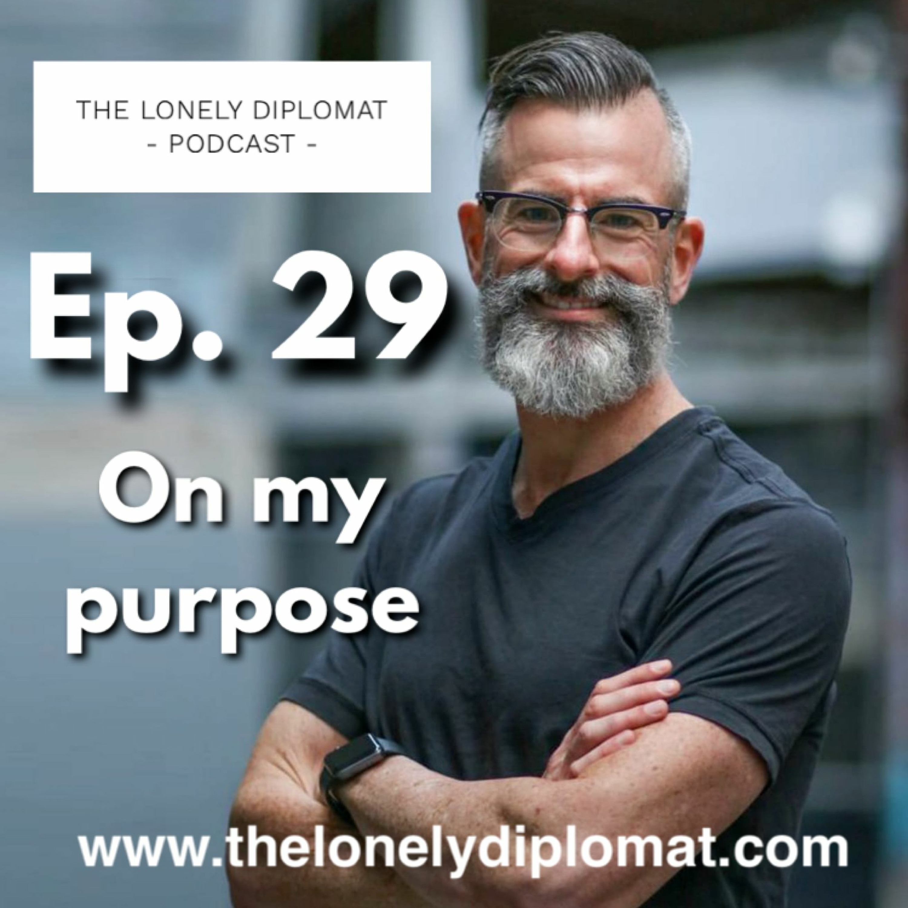 The Lonely Diplomat