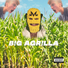 BIG AGRILLA.