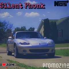 Silent Phonk