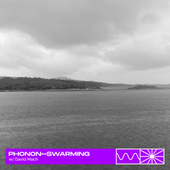 phonon~ swarming 06/24 w/ David Mach