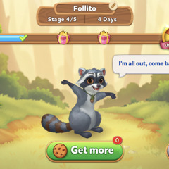 irhina explains F O L L I T O