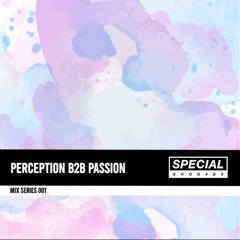 Special Grooves Mix Series 001 - Perception b2b Passion
