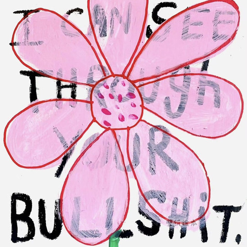 i can see through your bullshit