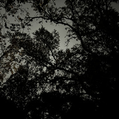 take me to my paradise (feat. addy)