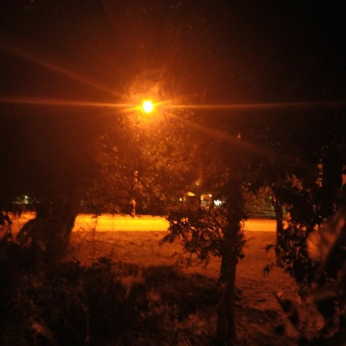 Ark Patrol - Let Go (Slowed + Reverbed To Perfection By Exzybeats)