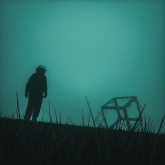 The Void Wanderer - I'm Not Here (VIP)