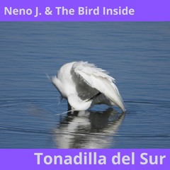 Tonadilla del Sur (collab with The Bird Inside)