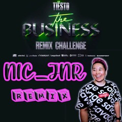Tiësto - The Business Remix Challenge - Nic_Jnr (Tech House Remix)