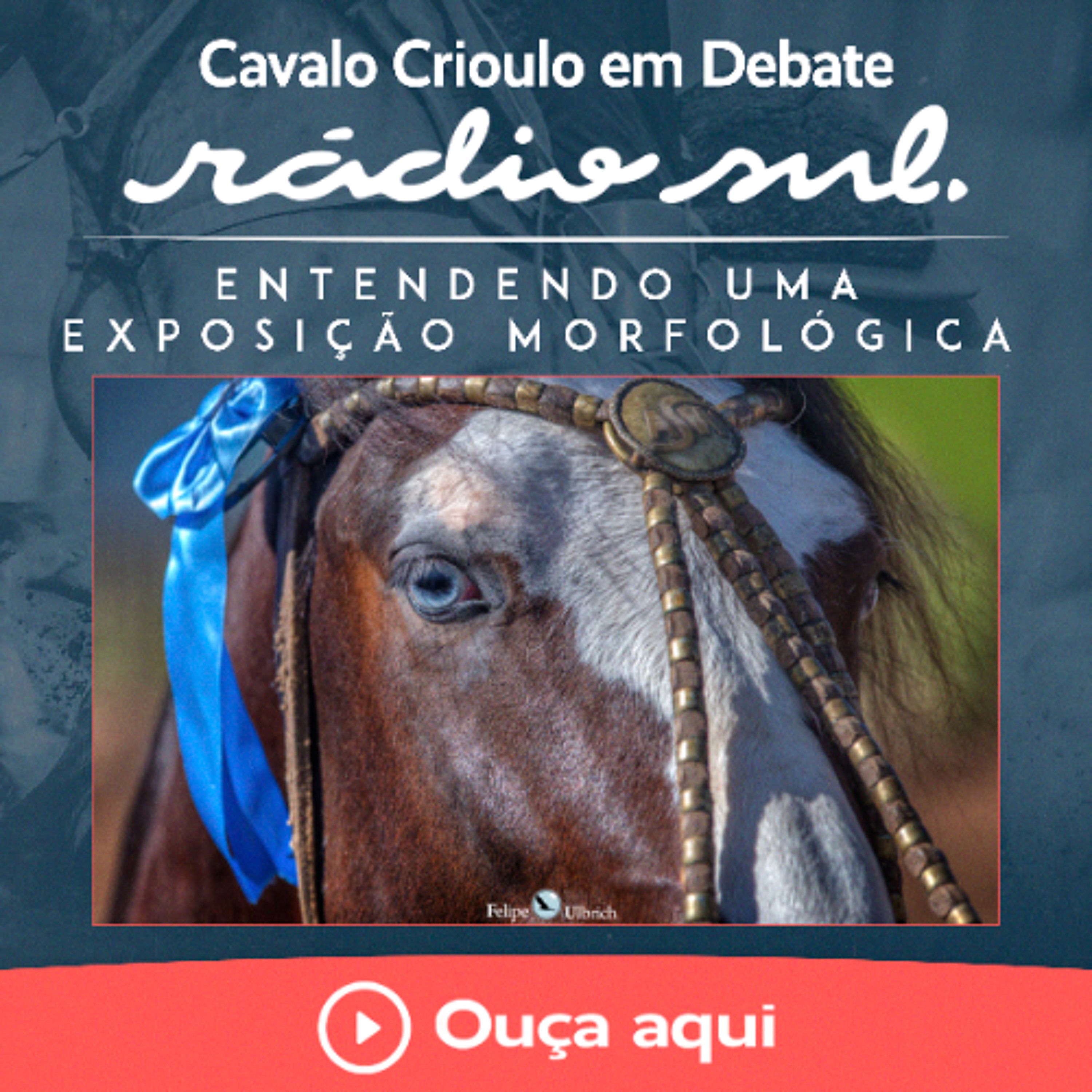 Entendendo uma Exposição Morfológica - Cavalo Crioulo em Debate #217 episode artwork