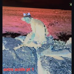 05  cochon intéligent