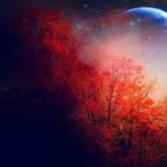 01 Gobo (Autumn came in the space)