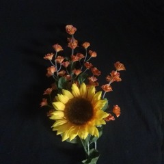 If Something Is Endless Then It Is Endlessly Frustrating