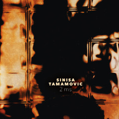 Sinisa Tamamovic - 2Ms - Systematic Recordings