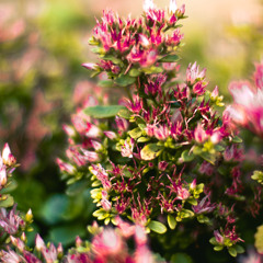 Qazar ft ANTI-SOCIAL - feel ur body